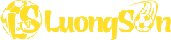 xe điện 1 bánh