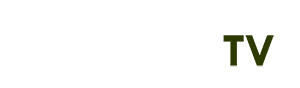 xe điện 1 bánh